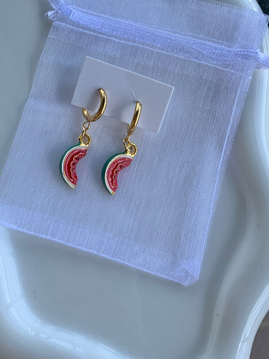 Stainless steel earrings