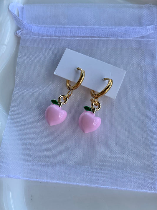 Stainless steel earrings
